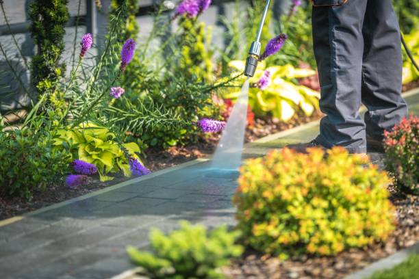 Best Restaurant Pressure Washing  in Brookridge, FL